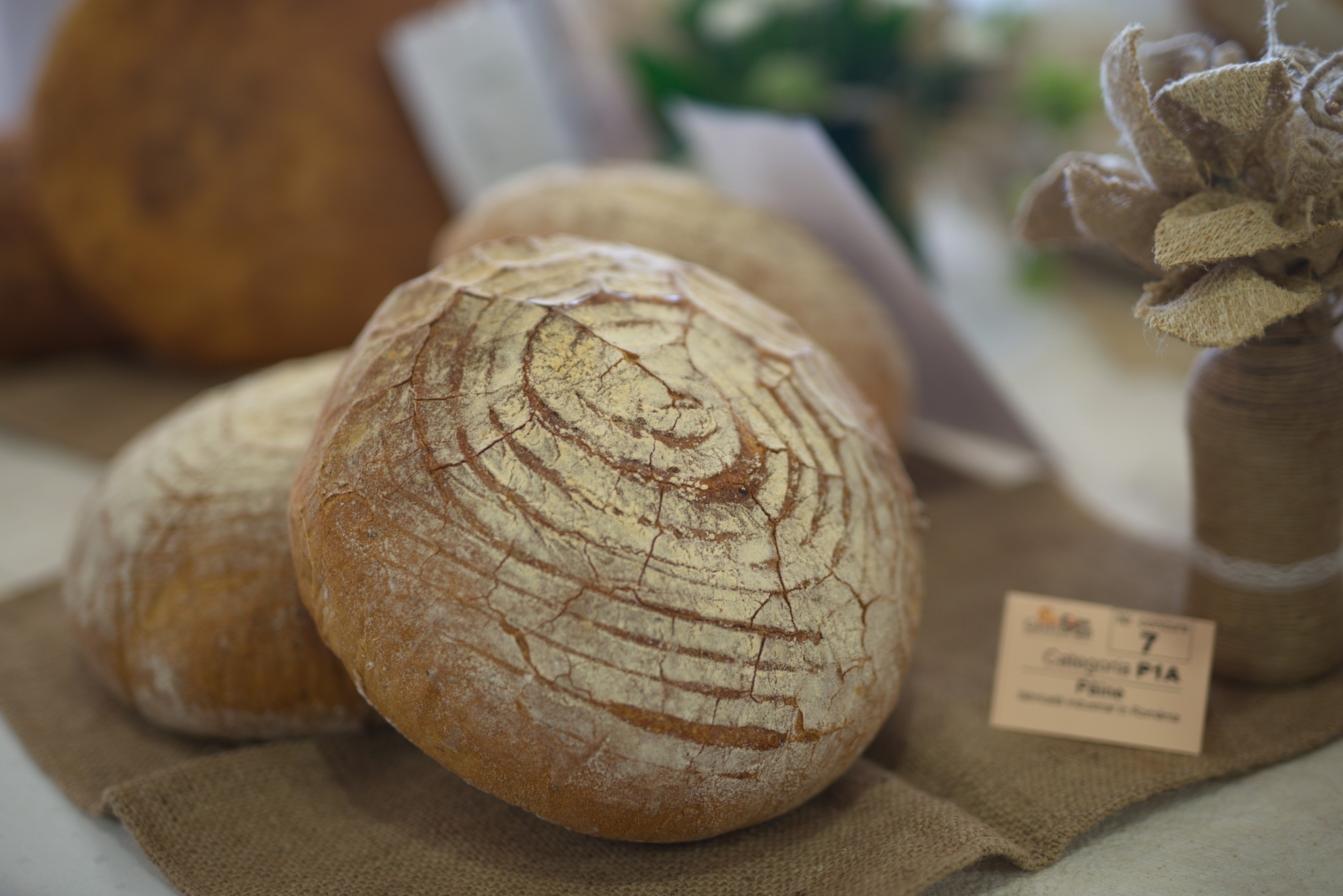 paine-industriala-loc2